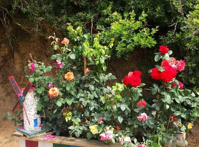 Maison De 3 A Prugna A 200 M De La Avec Vue Sur La Jardin Clos Et Wifi